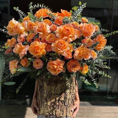 Top 5 Loài Hoa Được Ưa Chuộng Nhất Nửa Đầu Năm 2025