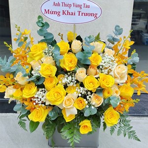 Hoa chúc mừng CM-01