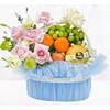 Giỏ trái cây 02