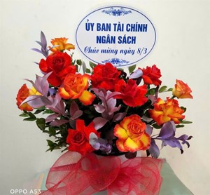 Hoa lẵng chúc mừng sinh nhật SN064