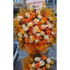 Hoa khai trương 018